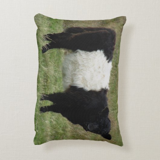 Dartmoorはギャロウェーの子牛にベルトを付けました アクセントクッション (裏面(縦))