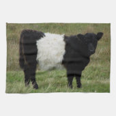 Dartmoorはギャロウェーの子牛にベルトを付けました キッチンタオル (横)