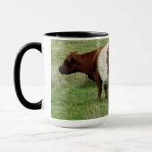 Dartmoorはギャロウェーの牛および子牛にベルトを付けました マグカップ (左)