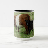 Dartmoorはギャロウェーの牛および子牛にベルトを付けました マグカップ (中央)