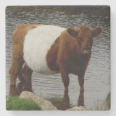 Dartmoorはギャロウェー牛永続的な川にベルトを付けました ストーンコースター (正面)