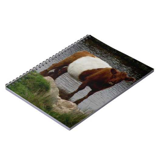 Dartmoorは川に立っているギャロウェー牛にベルトを付けました ノートブック (左側)