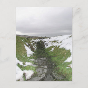 Dartmoor(英国デボン) ポストカード
