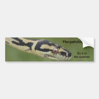 DARWIN2のHerpetologistsは、夏のそれをします バンパーステッカー