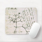 darwin マウスパッド (マウス)