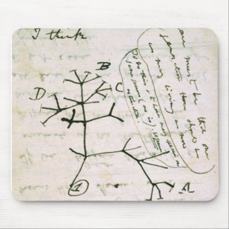 darwin マウスパッド