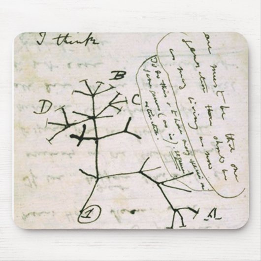 darwin マウスパッド (正面)