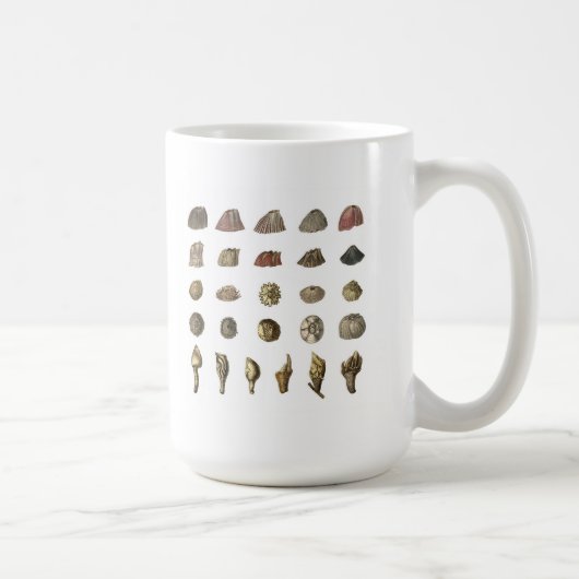 Darwin's Barnacle mug (white) コーヒーマグカップ (右)