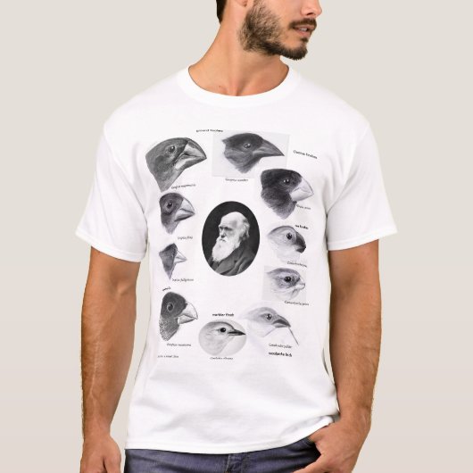 Darwin's finches tシャツ (正面)