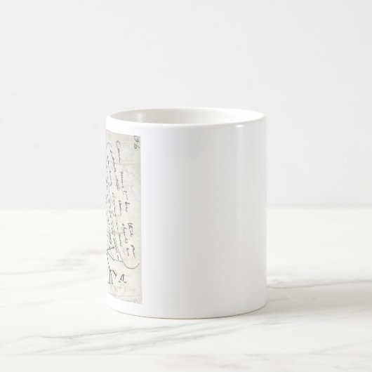 darwin's notebook コーヒーマグカップ (中央)