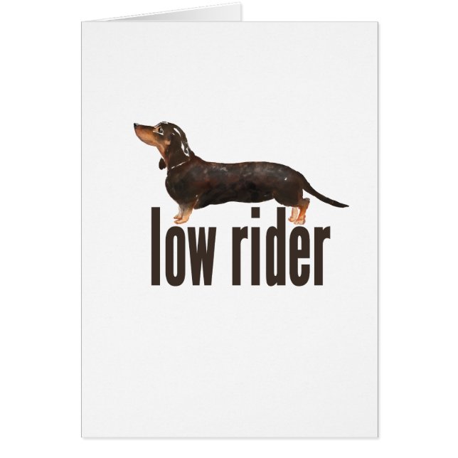 Daschundのダックスフント (正面)