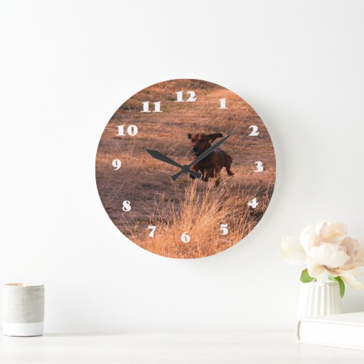 Daschund Dogがフィールド写真でジャンプ ラージ壁時計 (ホーム)