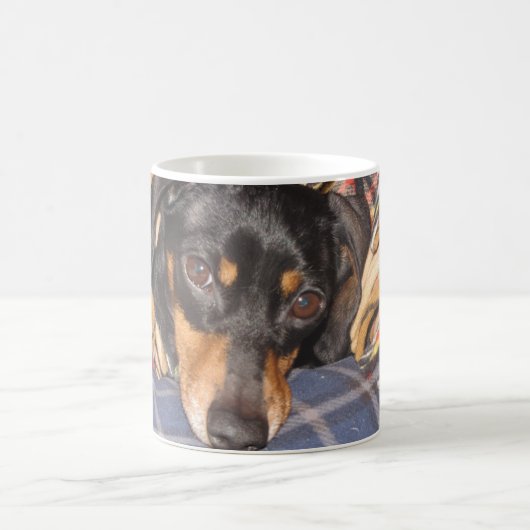 Daschund Weener犬の顔 コーヒーマグカップ (中央)