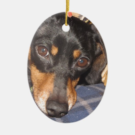 Daschund Weener犬の顔 セラミックオーナメント (正面)