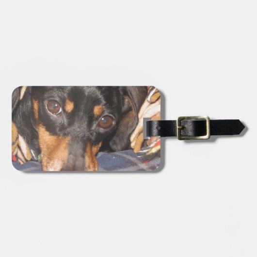 Daschund Weener犬の顔 ラゲッジタグ (正面横)