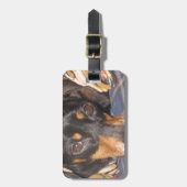 Daschund Weener犬の顔 ラゲッジタグ (正面縦)