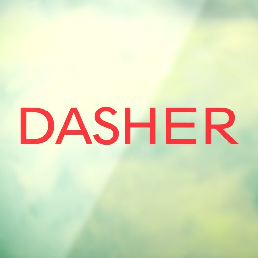Dasher Delivery Driver Car Window Decal ウィンドウサイン (シート3)