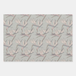 Dashing Groom-Set C、トロピカルロマンスギフトラップ ラッピングペーパーシート