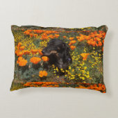 DashshandAccent枕 アクセントクッション (裏面)