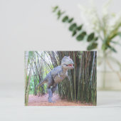 Daspletosaur – 恐竜 – 学のカード ポストカード (スタンド正面)