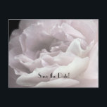 Date 70th Birthday Party Pink Roseを淡い色の保存 案内ポストカード<br><div class="desc">70誕生日のこのク淡い色のラスな背景に超ピンクのバラの花びらの写真飾"日付を保存"招待状。裏面はピンク色の背景に黒いレタリング淡い色のが付いている。とても上品だ！名前、年齢、イベント、日付などの文字を簡単に変更できる。オリジナル写真：Alan SocolikAll Rights Reserved © 2014 Alan & Marcia Socolik.</div>