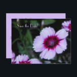 Date 80th Birthday Party Purple Flowersを保存 案内ポストカード<br><div class="desc">紫淡い色のの花と深い紫の中心飾は、この美しく上品な"日付を保存"フローラはがき発表。裏面は紫のレタリングに黒淡い色の色を付ける。とても上品だ！デフォルトは80誕生日だが、名前、年齢、日付、場所などを簡単に変更できる。オリジナル写真：Alan SocolikAll Rights Reserved © 2014 Alan & Marcia Socolik.</div>