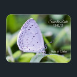 Date Butterflyのマグネット結婚を保存する マグネット<br><div class="desc">日付春Azure Butterflyの結婚マグネットの保存</div>