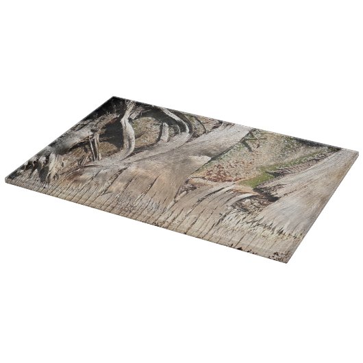 Date Palm Tree Trunkテクスチャのクローズアップ写真イメージ カッティングボード (角)