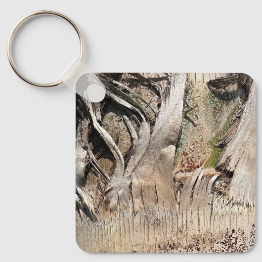 Date Palm Tree Trunkテクスチャのクローズアップ写真イメージ キーホルダー (正面)