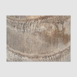 Date Palm Tree Trunkテクスチャのクローズアップ写真イメージ 薄葉紙