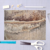 Date Palm Tree Trunkテクスチャのクローズアップ写真イメージ 薄葉紙 (クラフト)