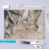 Date Palm Tree Trunkテクスチャのクローズアップ写真イメージ 薄葉紙 (クラフト)