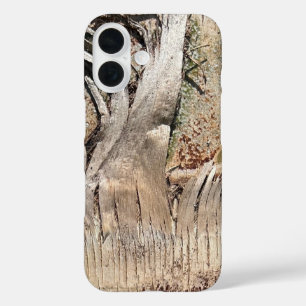 Date Palm Tree Trunkテクスチャのクローズアップ写真イメージ iPhone 16ケース