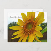 Date Sunflowerポストカードの保存 案内ポストカード (正面/裏面)