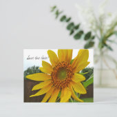 Date Sunflowerポストカードの保存 案内ポストカード (スタンド正面)