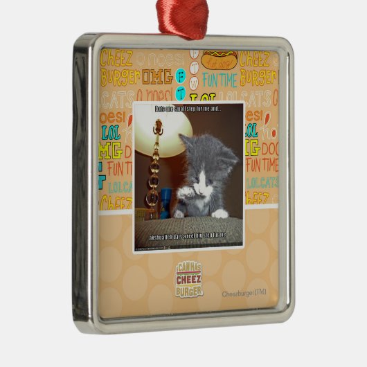 Dats 1つの小さいステップ毛皮私 メタルオーナメント (右)