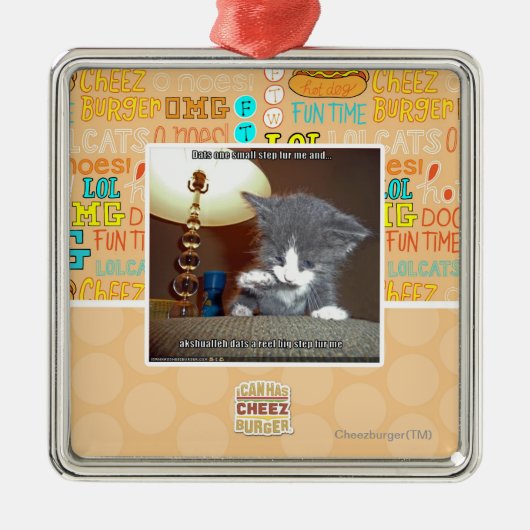 Dats 1つの小さいステップ毛皮私 メタルオーナメント (正面)