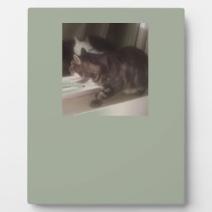 Daveと話さない フォトプラーク