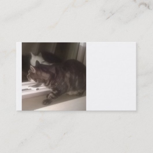 Daveの名刺とは話さない 名刺 (正面)