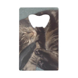 Daveクレジッよくはしゃぐトカードボトルオープナー クレジットカード栓抜き