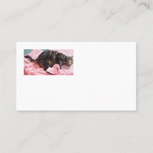 Dave Americanの名刺を仕立てる 名刺 (正面)