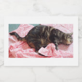 Dave Foodラベルを調整する フードラベル (シングルラベル)