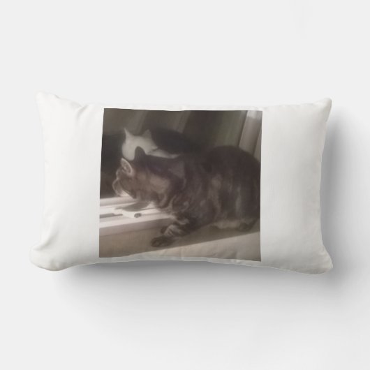 Dave Lumbarクッション33 x 53 cm ランバークッション (正面)