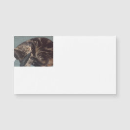 Dave Magneticよくはしゃぐ名刺（25パック）