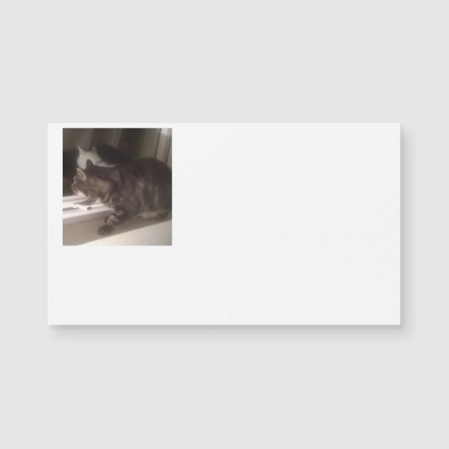 Dave Magnetic Business Cardと話さない (正面)