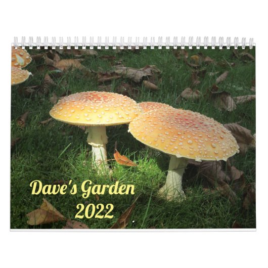 Dave's Garden 2022 Calendar カレンダー (カバー)