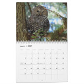 Dave's Garden 2022 Calendar カレンダー (3月 2027)