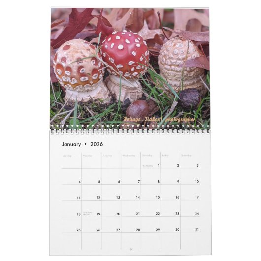 Dave's Garden 2023 Calendar カレンダー (1月 2026)