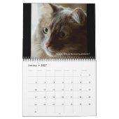 Dave's Garden 2025カレンダー カレンダー (1月 2027)