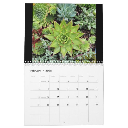 Dave's Garden Photo Contestの受賞者は次のように述べている カレンダー (2月 2026)